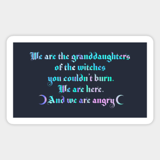 We are the granddaughters of the witches you couldn't burn 2.0 Magnet